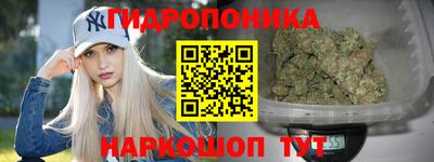 Альфа ПВП Краснознаменск