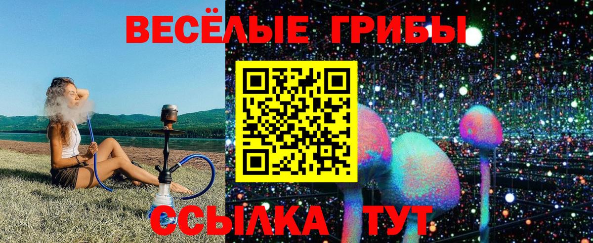 Красноуфимск  Псилоцибиновые грибы Cubensis  Вход с VPN  Галлюциногенные грибы Cubensis 