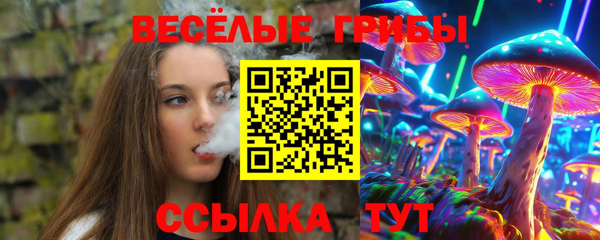 Галлюциногенные грибы Psilocybe Красноуфимск